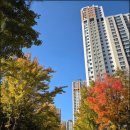 광교대림e편한단지내공인중개사사무소 | [공지] [광교대림이편한세상] 2026년도 수도권아파트...대책의 세부내용 살펴보기/광교부동산공인중개사