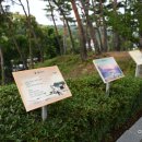 야외공연장 이미지