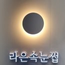 라은속눈썹