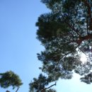 검산1리 마을회관 이미지