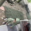 풍전가든 이미지