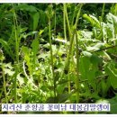 유장농장 이미지