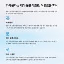 선플라워 이미지