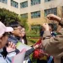 구로남초등학교 이미지