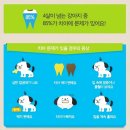 닥터아이펫 동물병원 이미지