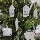 미나리슈퍼 | 성수나들이 - 능동미나리와 가나디팝업 후기