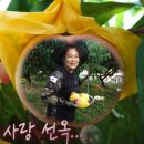 선옥농장 이미지