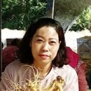풍기제일홍삼원