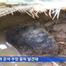 대곡면-4 이미지