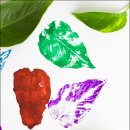 아동미술지도사 자격증 이미지