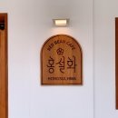 홍설화