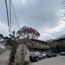 효소명가 | 힐링이 필요할 때 효소찜질 추천 수락산 편백원 후기, 의정부 명가오리숯불구이