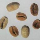 홀씨;bean