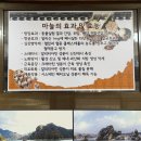 단양팔각정 | 패러글라이딩의 성지, 단양 스카이패러 익스트림코스로 힐링하기 / 리틀포레스트 / 팔각정