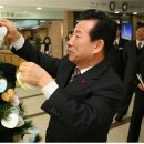 소망의 나무 이미지