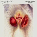 마리동물병원 이미지