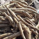 산골의하루 이미지