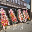 박정훈사무소 데일리안