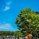 LPG 카카오 검색결과