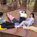 예닮지역아동센터 이미지