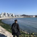 다대포해수욕장 정우장횟집 건너편 | 11월 부산 여행) 이른 시간 찾은 '다대포 바다/생선회 먹거리타운'