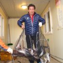 어심바다낚시터 이미지