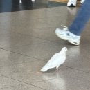 NR-1[경수대로]-상-5 | 25년 끝나기 전 다급한 5-6월