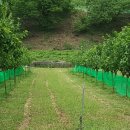 학당농장 이미지