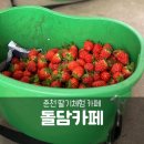 일희농장 네이버블로그