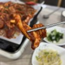 사랑방다슬기 | 오징어 불백 맛있는 강원도 영월 맛집 [사랑방식당] 웨이팅하고 야무지게 먹고 온 후기