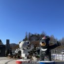 진부로/송정길 | [강원도] 서울에서 정선 파크로쉬 차 없이 이동하기, 파크로쉬 뚜벅이 여행, 파크로쉬 셔틀버스