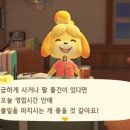 너굴상점