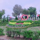 화성(목포) 이미지