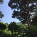 원암유치원 이미지