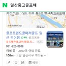 로얄수입품 | 일산골프매장 마제스티 로얄 골드 아이언 구매 아버지 선물로 추천