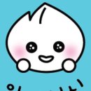 상춘꽃농원 이미지