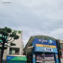 오아유네일 | 삼척중앙시장 청년몰 구경하고 어시장에서 참돔도 사고~