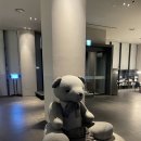 신라스테이  제주 | 제주 제주시 | 신라스테이 제주 숙박 후기 (공항 10분컷! 룸컨디션 &amp; 욕조 &amp; 가습기 대여 꿀팁 🛁)