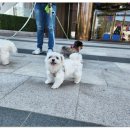 사랑하는 유치원 이미지