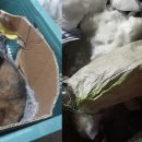 태백노래연습장 이미지