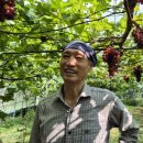 청양금강농장 이미지