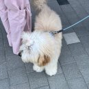 하모니마트앙성점 | 충주 1박2일 여행 | 마중, 더블하모니, 탄금대, 충주 고구려비 전시관, 중원고구려비, 대성야채만두, 또...