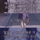 투문