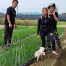 병철농장 이미지