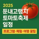 GS25둔내IC점 | 2025 둔내고랭지토마토축제 일정 총정리 | 프로그램·체험·여행 꿀팁