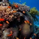 바다속으로 이미지