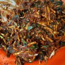 지곡농장 이미지