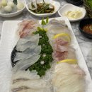 에코랜드수영장 이미지