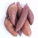 고구마짐 이미지