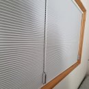 양양 스테이나무 이미지